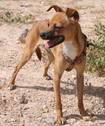Patxi_IMG_2755