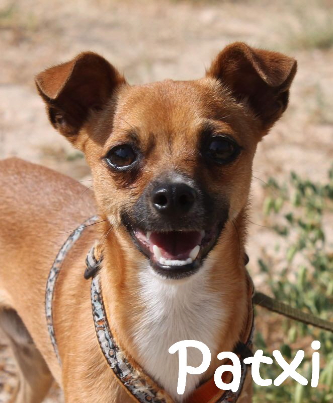 Patxi_IMG_2761_mN