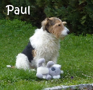 Paul_004-Bild2023.04.03