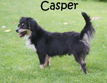 Paul_DSC02768_Casper