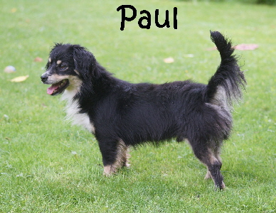 Paul_DSC02768_mN
