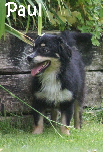 Paul_DSC02774_mN