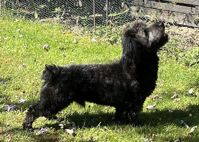 Peluso_IMG_3288 Peluso_IMG_3288