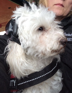 Pepper_img_4062