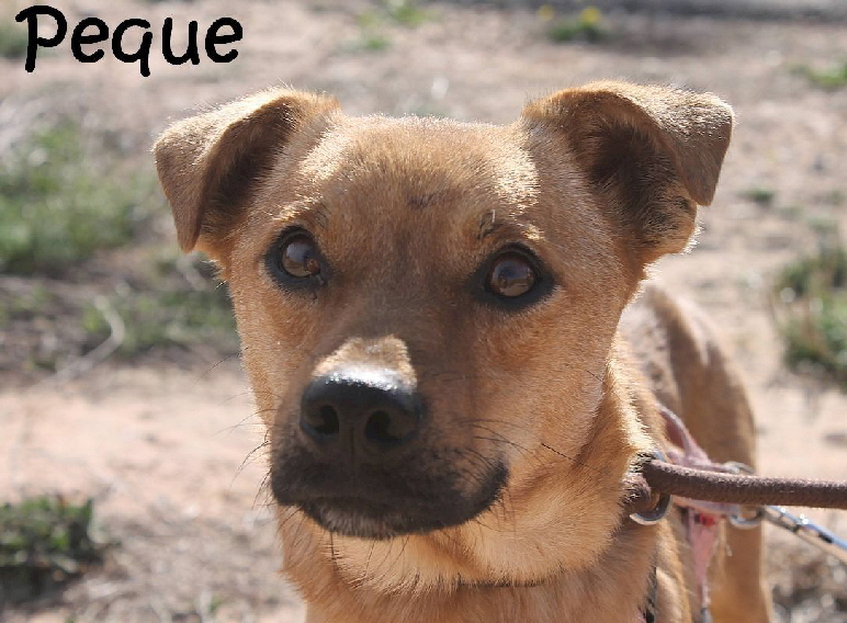 Peque_3033_mN