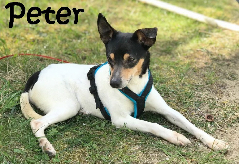 Peter_IMG-20180408-WA0038_mN