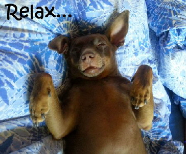 Pheusy_20150704_151823_relax