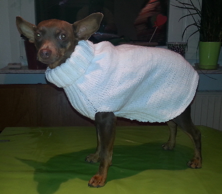 Pheusy_mit_Strickjacke_829