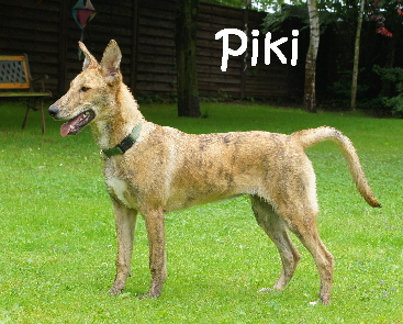 Piki_DSC03053_mN