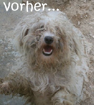 Pili2_vorher
