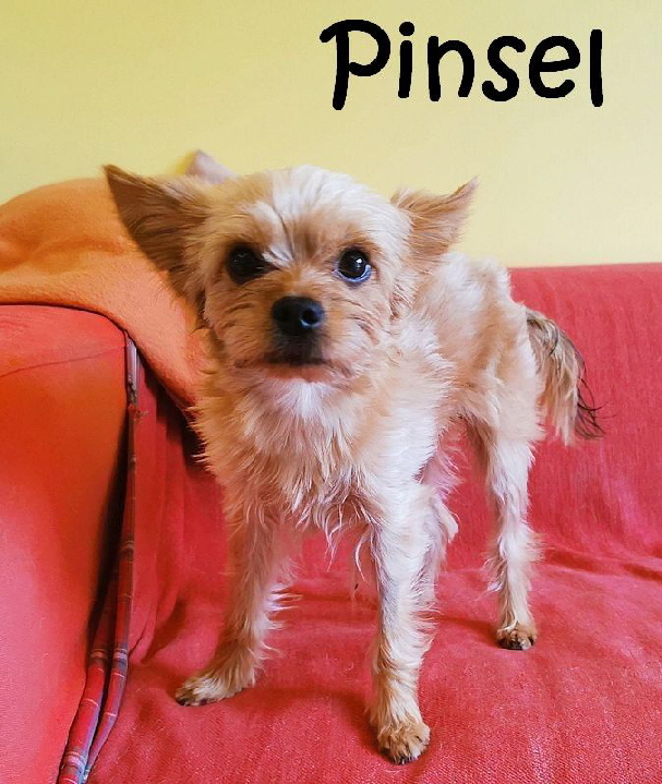 Pinsel_IMG_20211028_131219