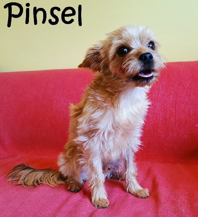 Pinsel_IMG_20211028_131244_mN