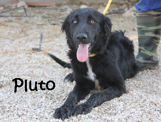 Pluto_IMG_8239