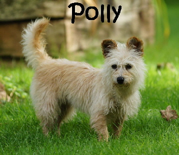 Polly_DSC08163_mN