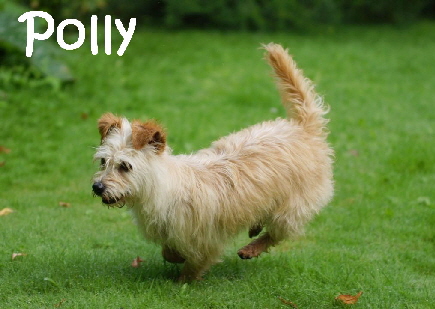 Polly_DSC08168_mN