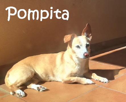 Pompita_IMG-20180310-WA0110_mN