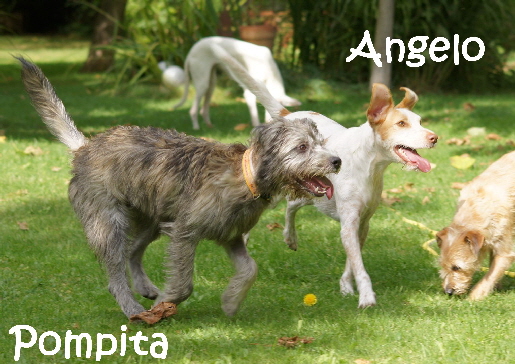 Pompita__DSC04315_mN