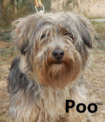 Poo_adjuntos_fichero_2365767_3aa46f9ee75bc6b1g.mitName