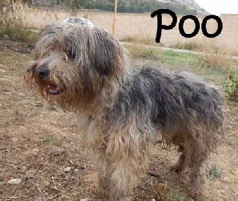 Poo_adjuntos_fichero_2365769_fa3d1bf8b3cf3a83g_mN