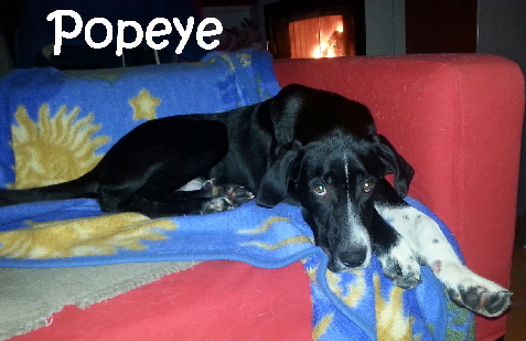 Popeye_20171104_194938_mN