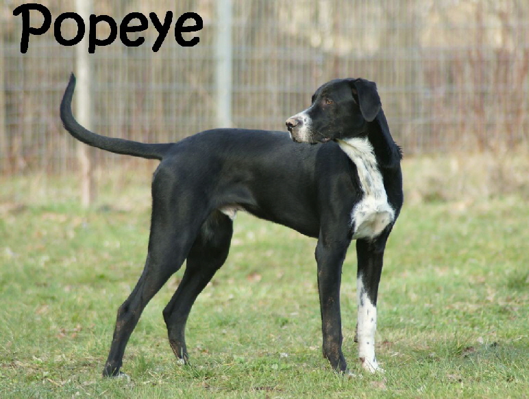 Popeye_DSC02067_mN