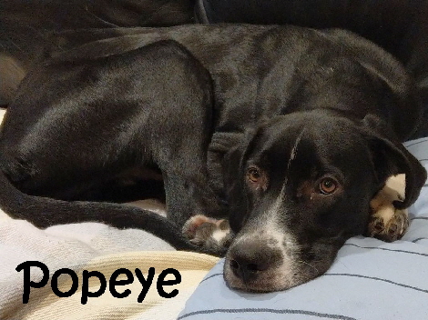 Popeye_IMAG0128_mN