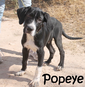 Popeye_IMG_2680_mN