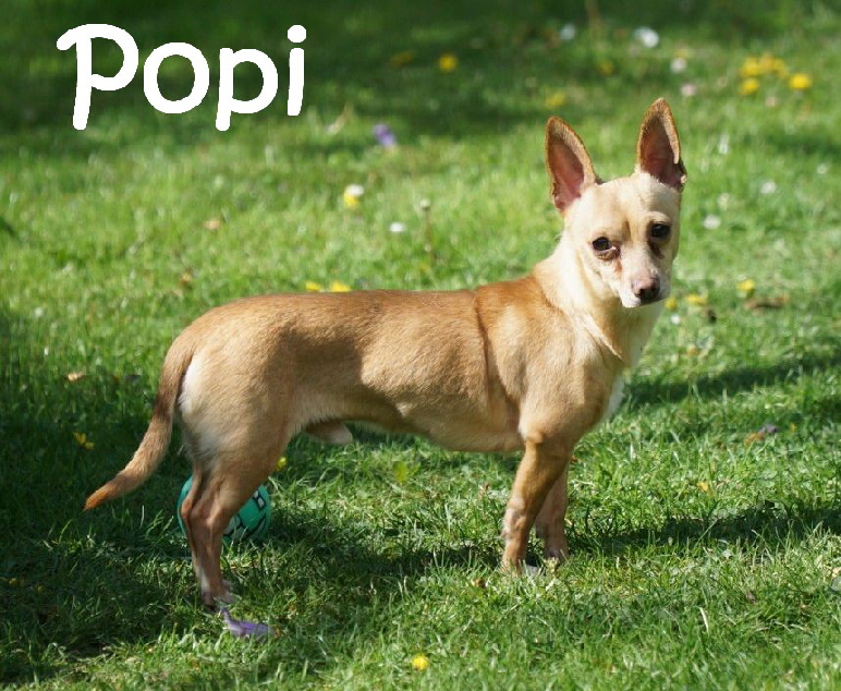 Popi_DSC09946_1280x853_mN