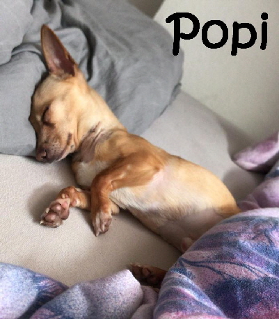 Popi_IMG-20190524-WA0006_mN