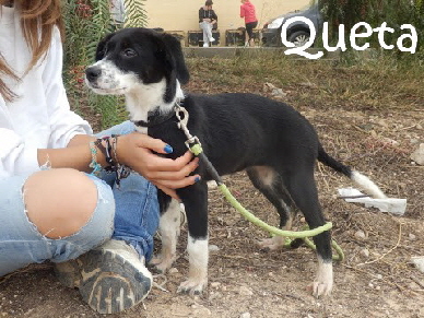 Queta_PB010074_mitName