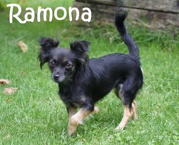 Ramona_DSC08657_mN