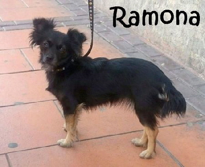 Ramona_IMG_20150405_165619_mN