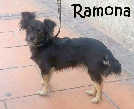 Ramona_IMG_20150405_165619_mN
