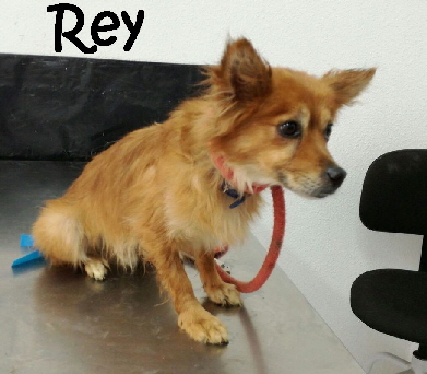 Rey_IMG-20171113-WA0025_mN
