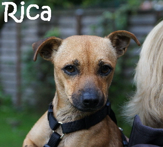 Rica_DSC05024_mN