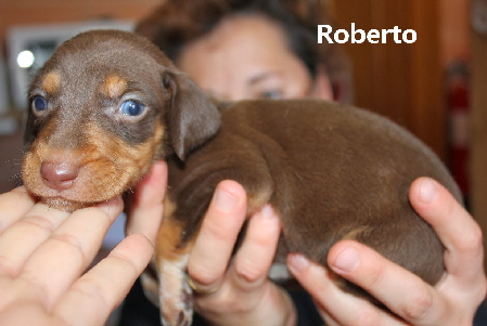 Roberto_3_mitName