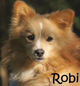 Robi_DSC08154_mN