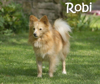Robi_DSC08285_mN