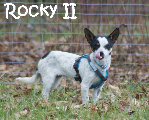 RockyII_DSC01668_mN