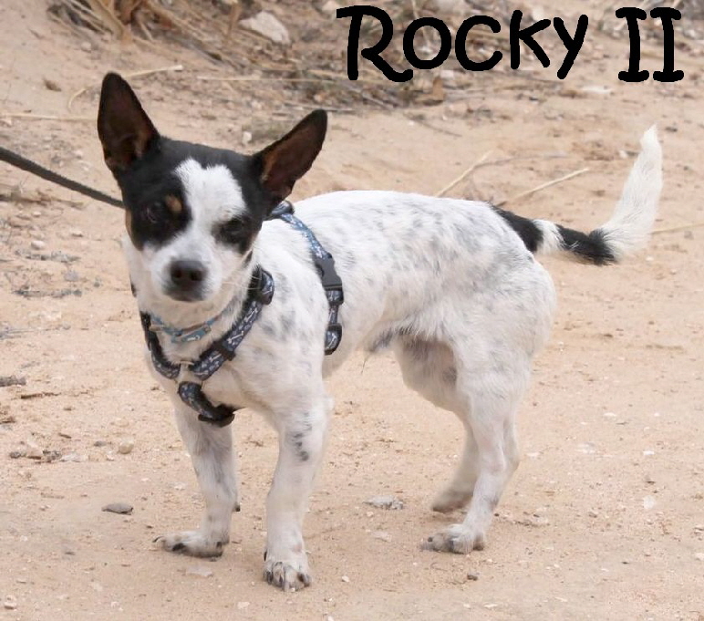 Rocky_IMG_1021_mN
