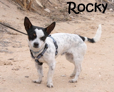 Rocky_IMG_1021_mN