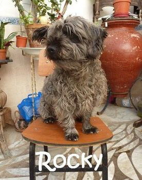 Rocky_P1060091_mN