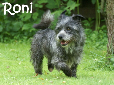 Roni_DSC00070_mN