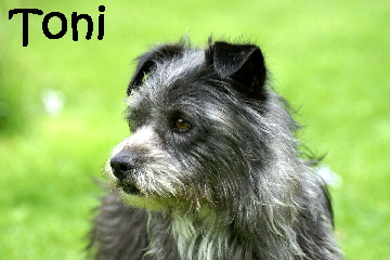 Roni_DSC00074_mN