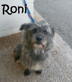 Roni_IMG_20170410_132611_mN