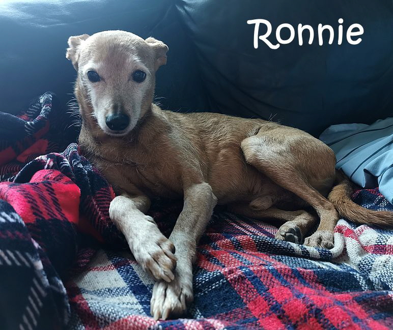 Ronnie_20250116_121438