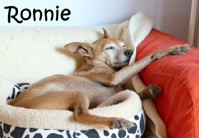 Ronnie_P1010075 Ronnie_P1010075