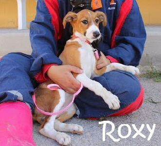 Roxy_IMG_0160_mN