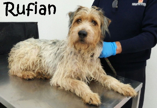 Rufian_IMG-20171117-WA0020_mN