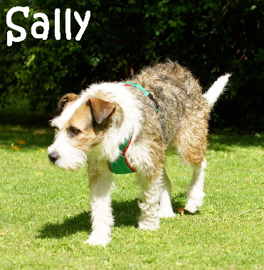 Sally_DSC07996_mN
